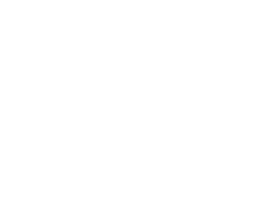 Dr. Pedro Morais
